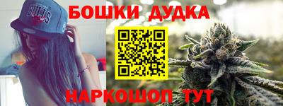 молекула духа Партизанск