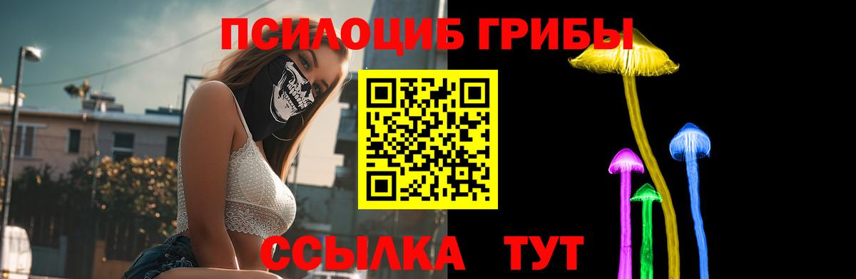 Галлюциногенные грибы прущие грибы Санкт-Петербург